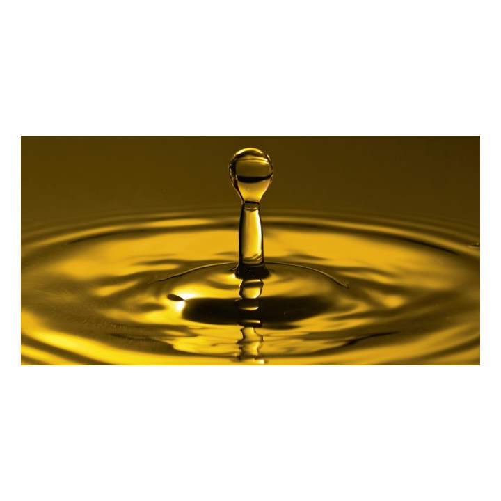 GRAISSE FORMULA MS (substitut de KLUBER NBU-15)