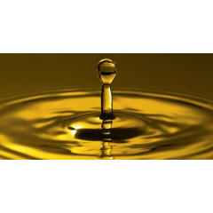 GRAISSE FORMULA MS (substitut de KLUBER NBU-15)