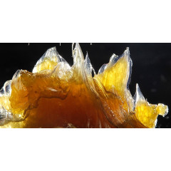 GRAISSE EP 000 00 cartouche de 400G