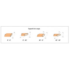 FR292R AFFLEUREUSE DE CHANT INCLINABLE