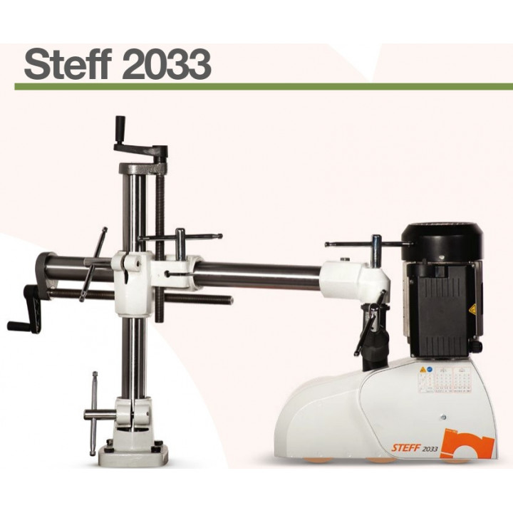 ENTRAINEUR  PROFESSIONNEL 3 GALETS STEFF 2033