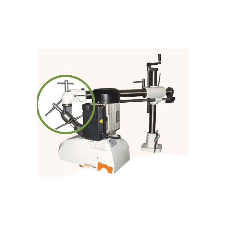 ENTRAINEUR  PROFESSIONNEL 3 GALETS STEFF 2033