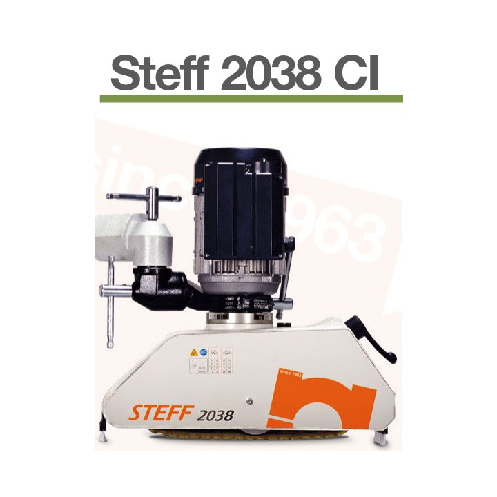 ENTRAINEUR PROFESSIONNEL A CHENILLLES  STEFF 2038 CI