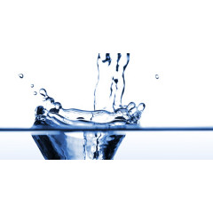 BIONATUR WOOD LUBRIFICATION SCIE A RUBAN